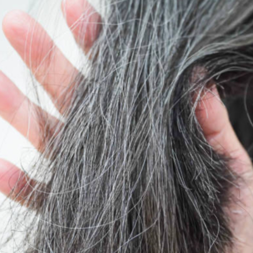 GR-7® vs. NoGrey – der wahre Unterschied bei grauen Haaren